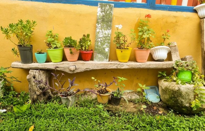 plantas para vasos grandes jardim externo