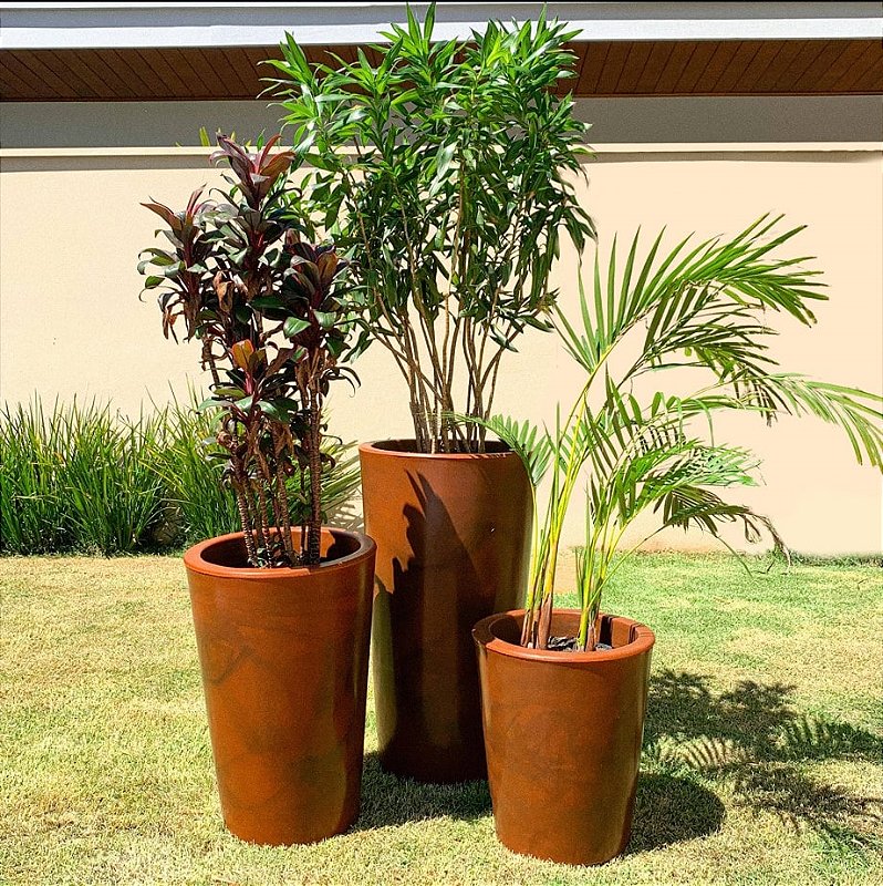 plantas ornamentais grandes para jardim