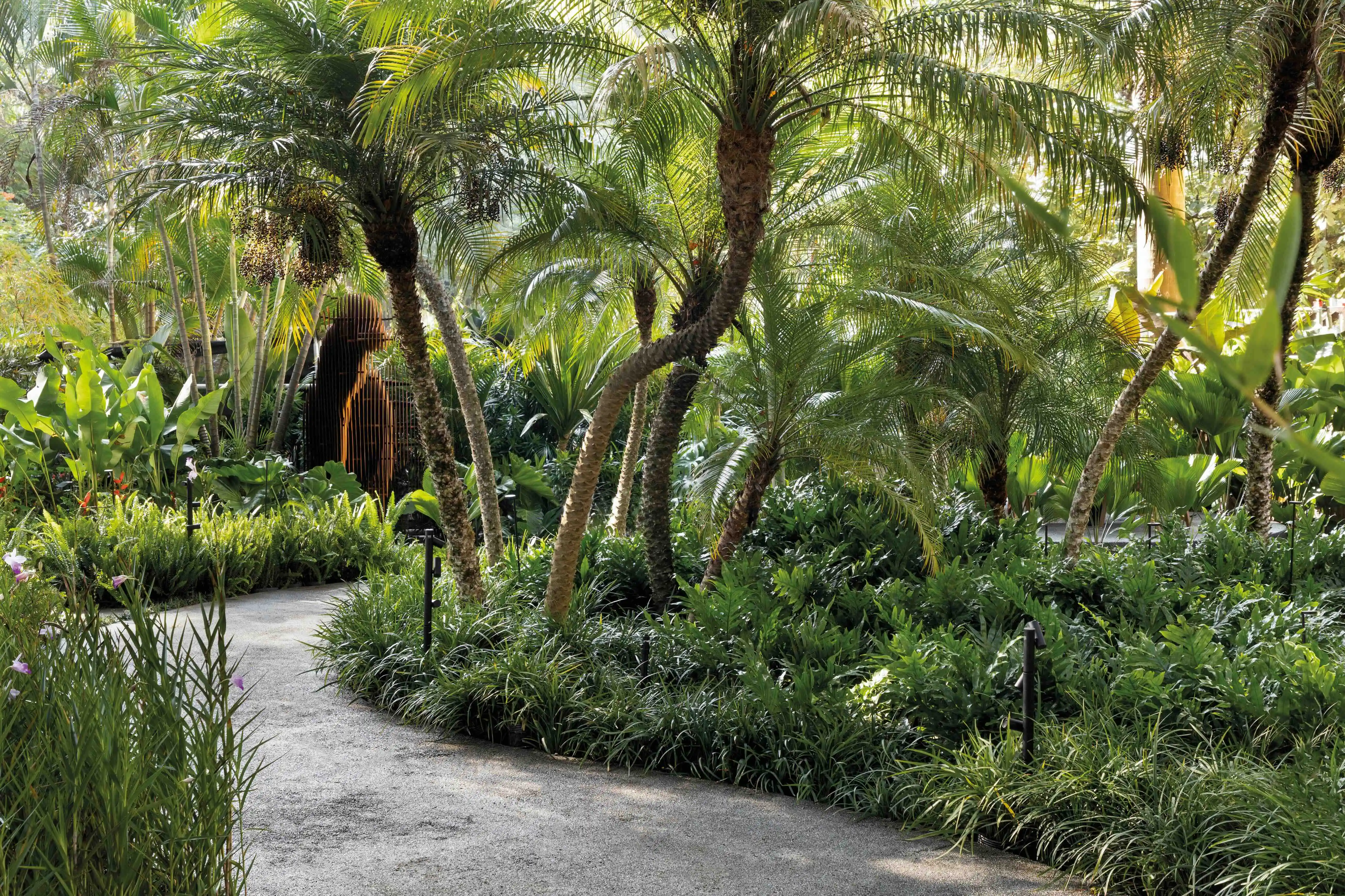 plantas para vasos grandes jardim externo
