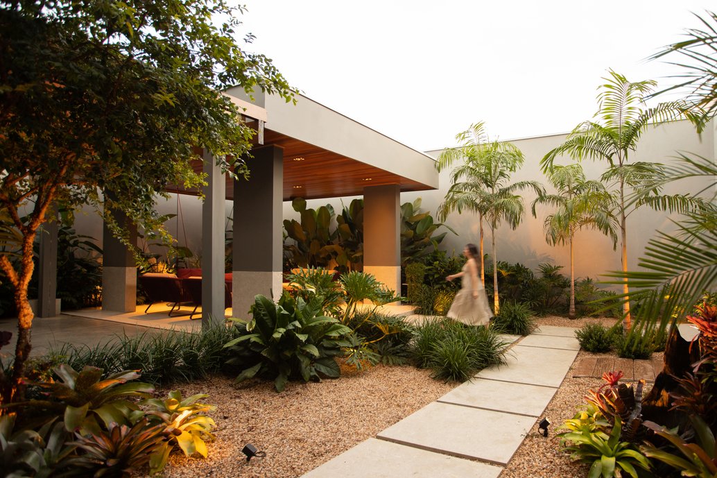 plantas tropicais grandes para jardim