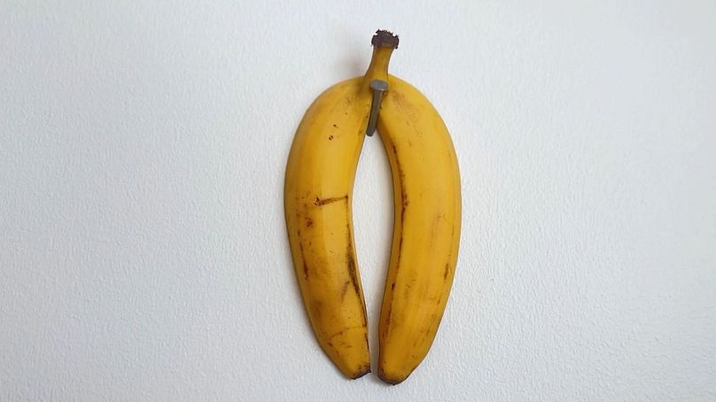 erro ao pensar que banana cresce reta