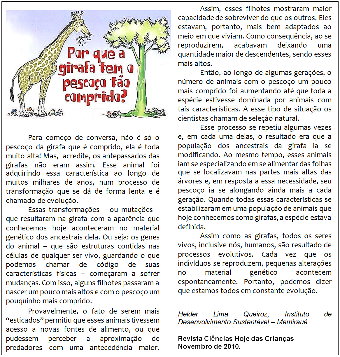 porque a girafa tem o pescoço longo