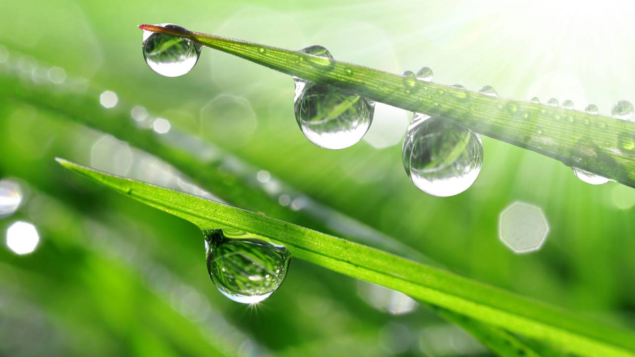 erros comuns sobre formação de orvalho