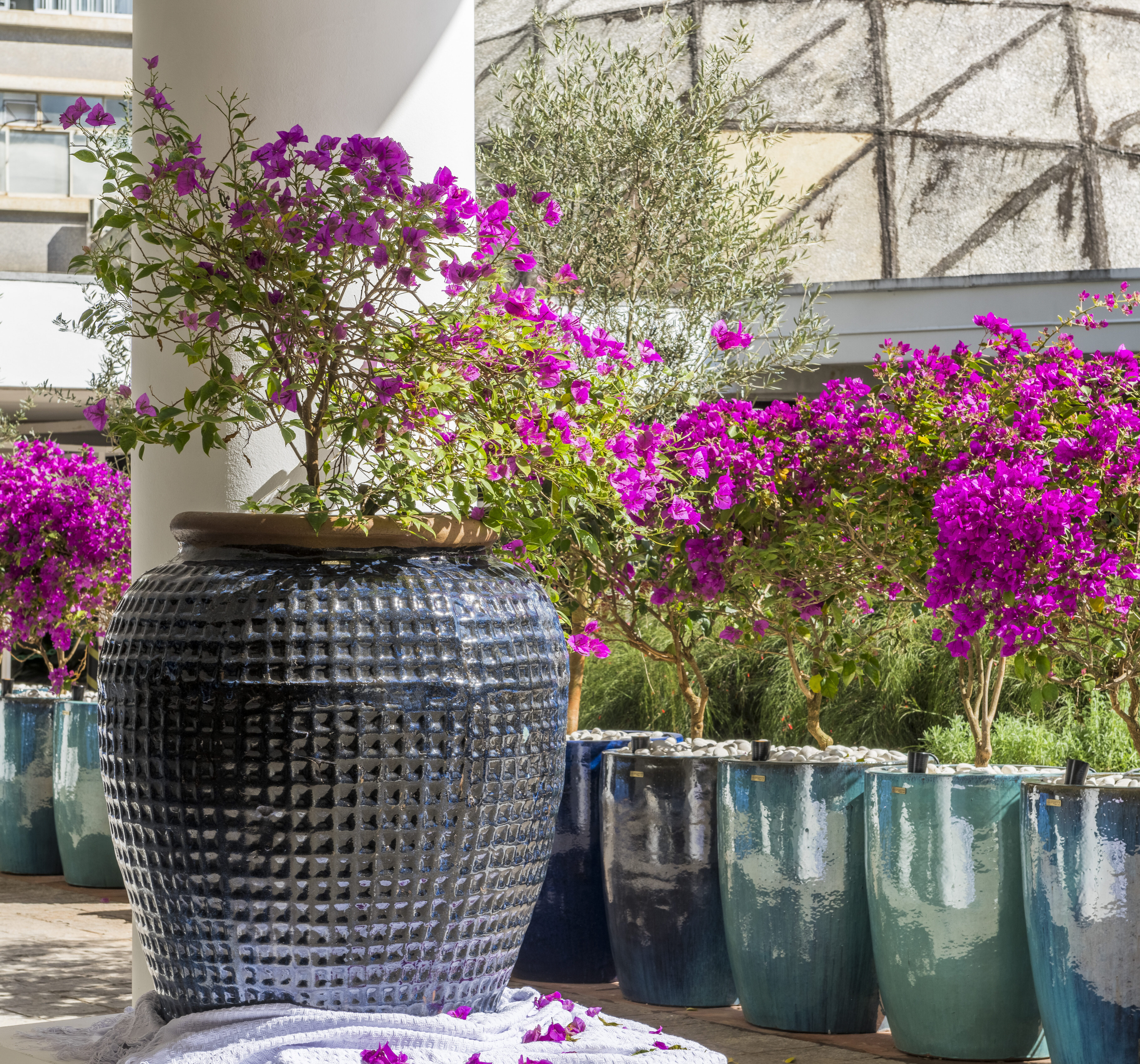 ideias de decoração com primavera em vaso