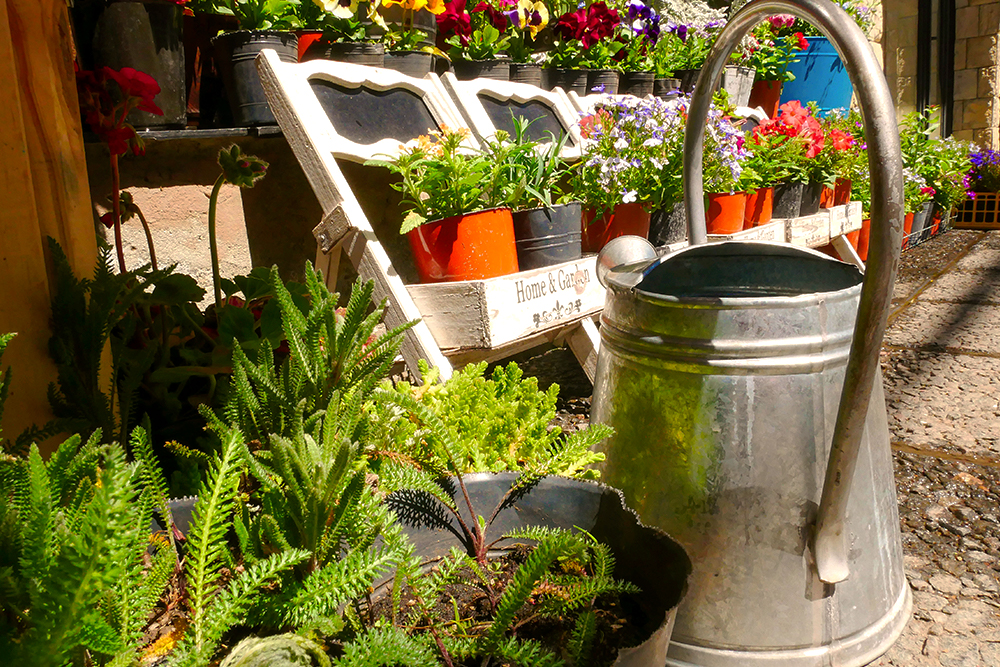 como escolher o vaso ideal para primavera