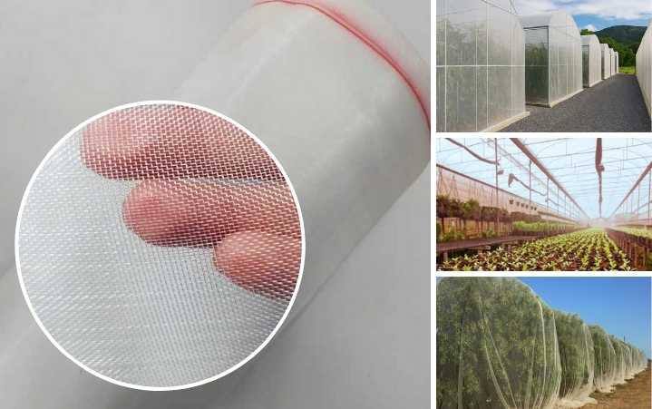 principais problemas com tela anti afideos