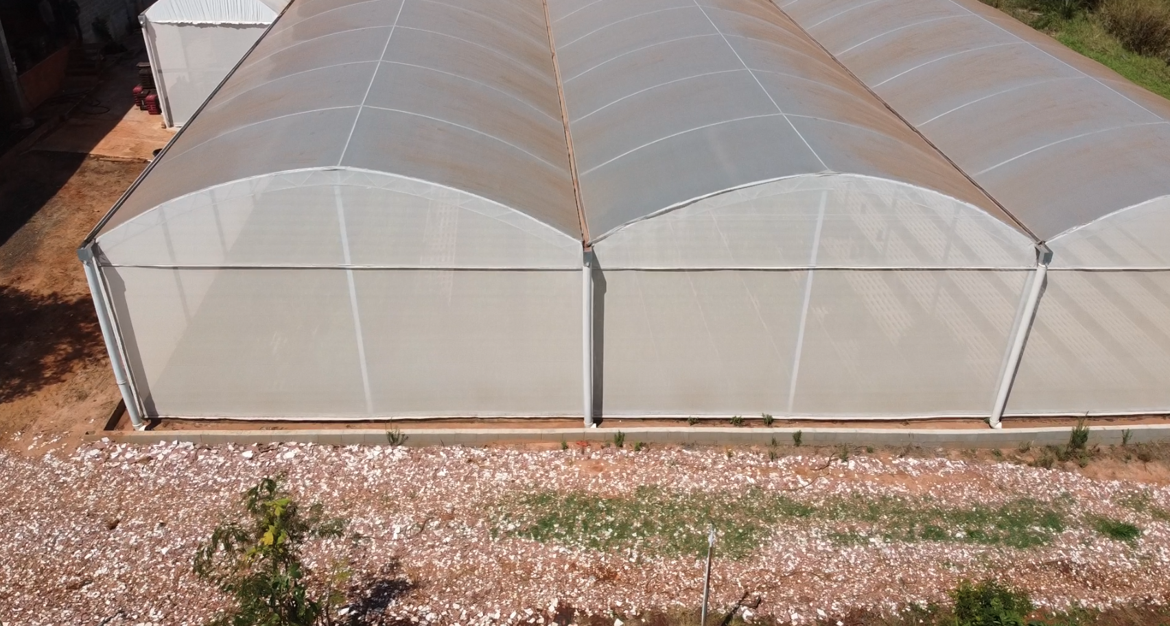 melhores telas antiafideo para estufa