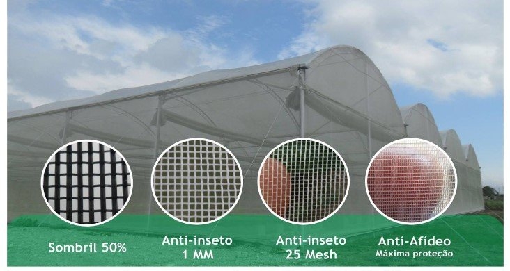 como evitar fungos na estufa com tela antiafideo