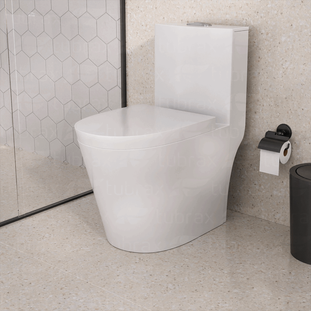 problemas comuns vaso sanitário monobloco