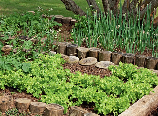 ideias de projeto horta em casa para iniciantes