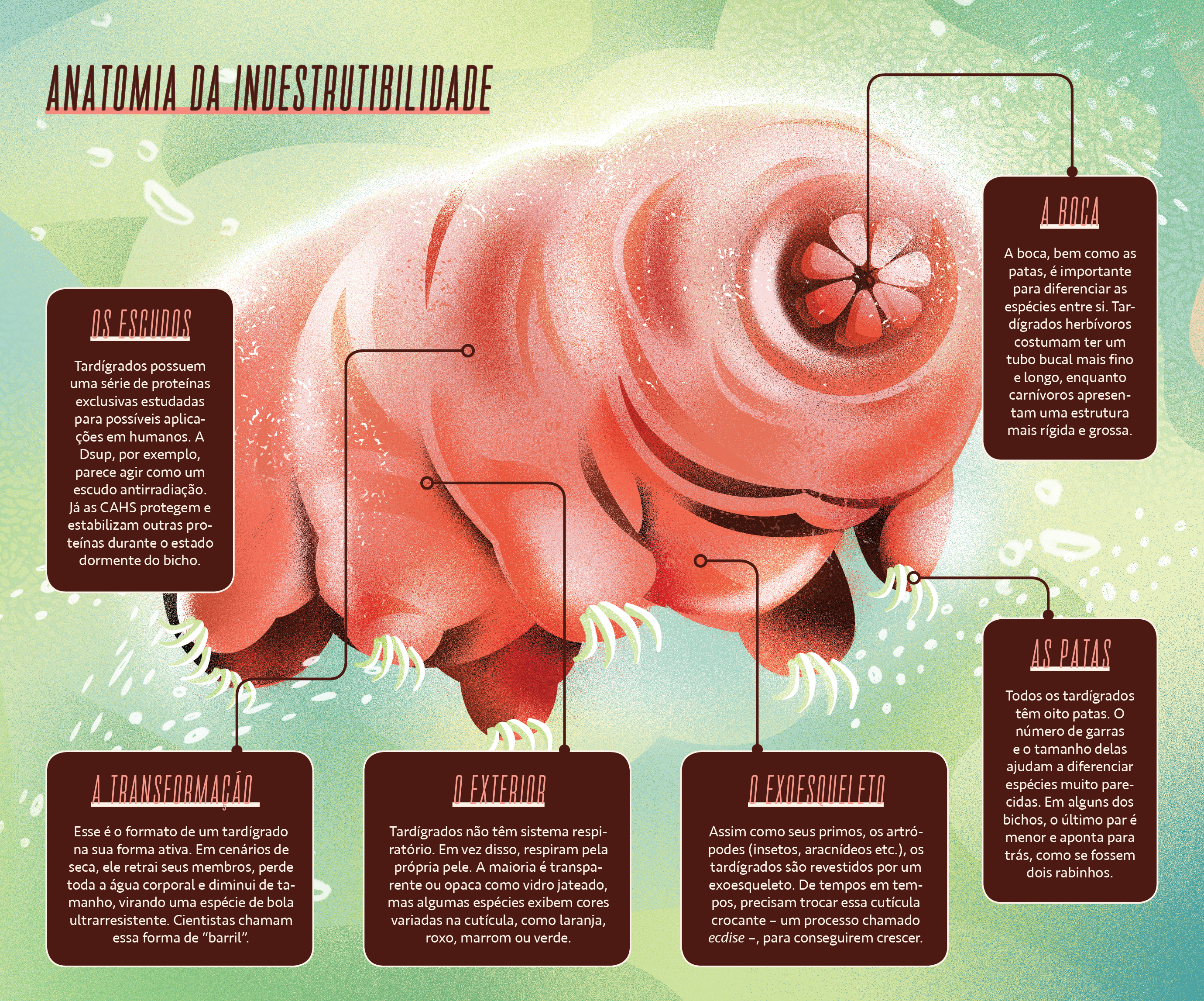 animais mais adaptáveis do mundo lista