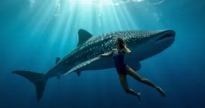 Qual o maior peixe do oceano? A verdade vai te surpreender