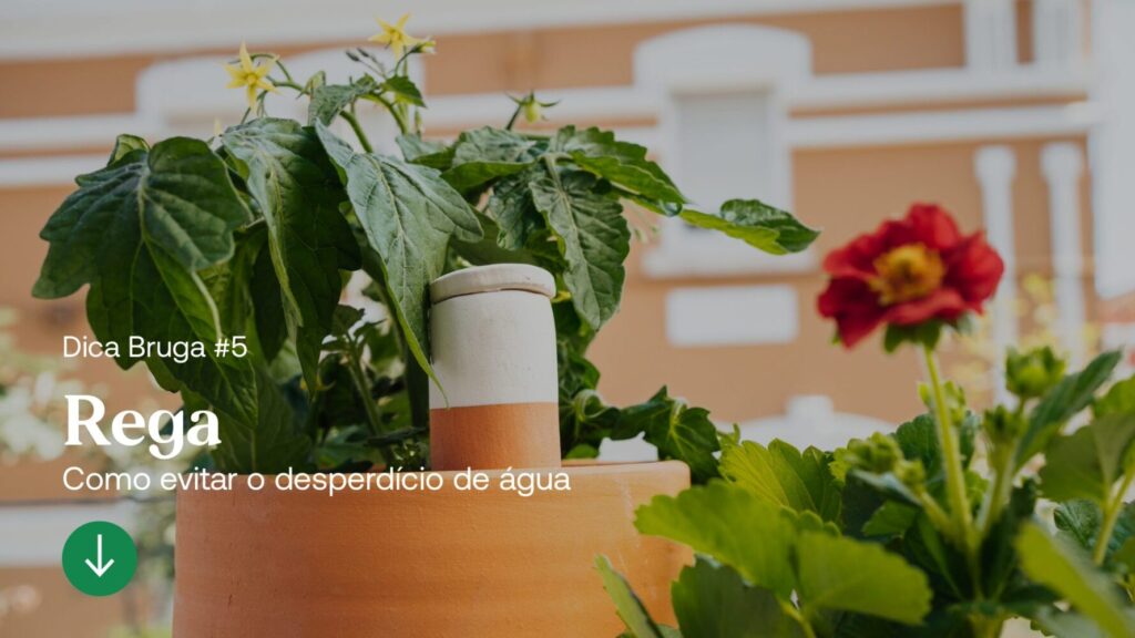 melhores práticas para garantir água de rega de qualidade