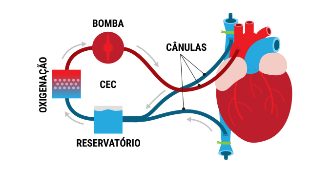 quando foi o primeiro transplante de coração