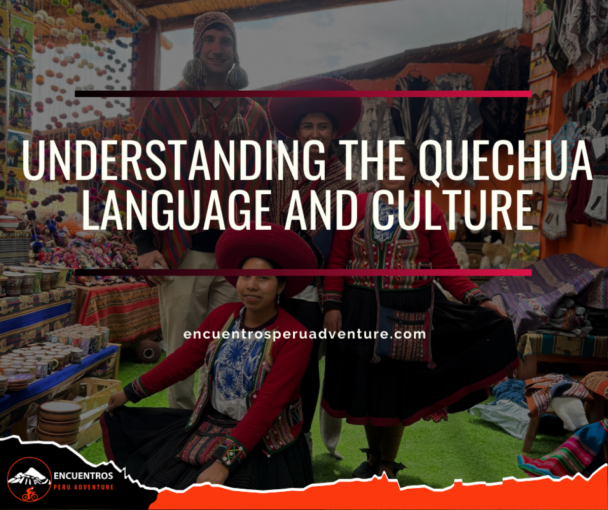 preço médio de jaqueta quechua