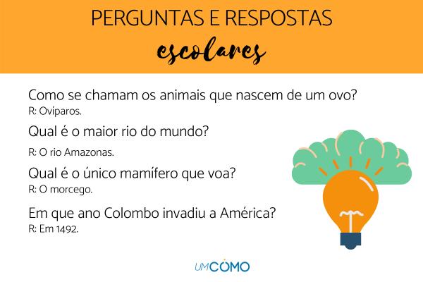 erros comuns em quizzes de geografia