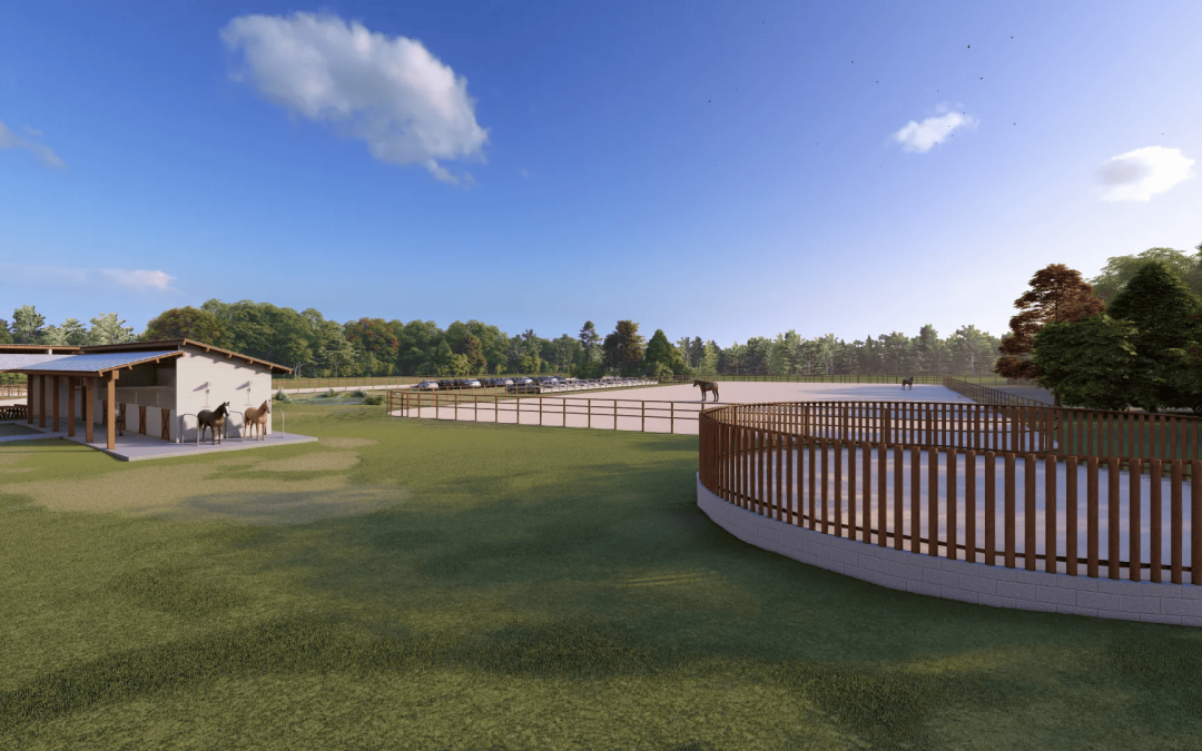 erros comuns reforma haras evitar