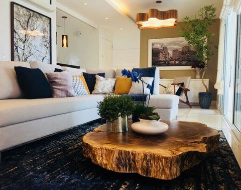 como tratar madeira contra cupim