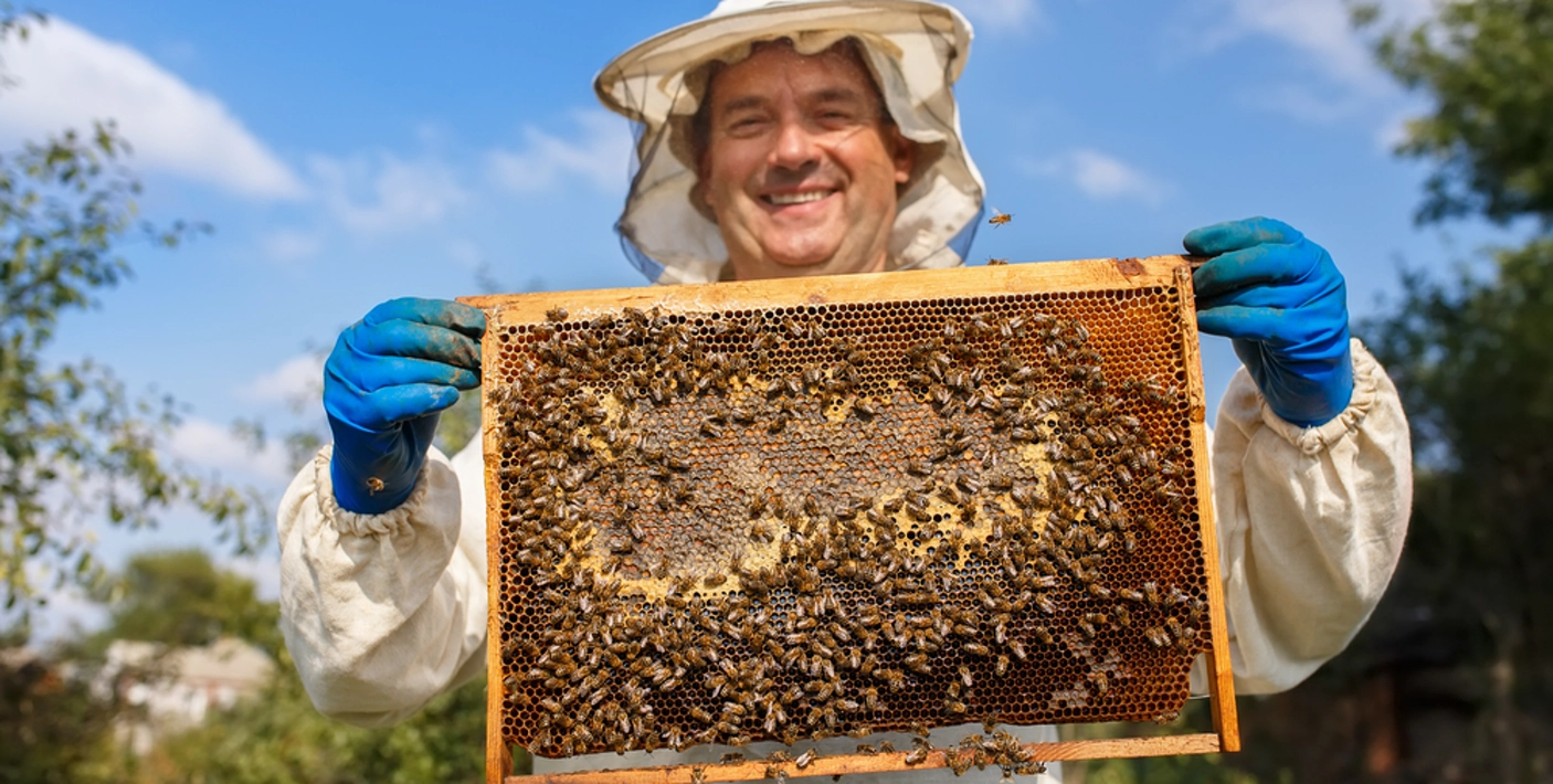 requisitos para apicultor ser mei