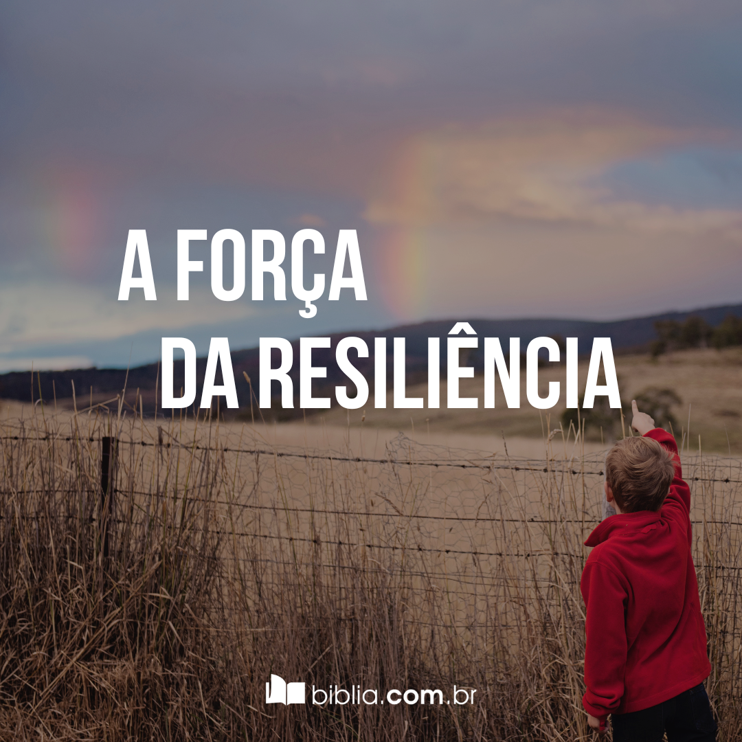 o que a bíblia ensina sobre resiliência