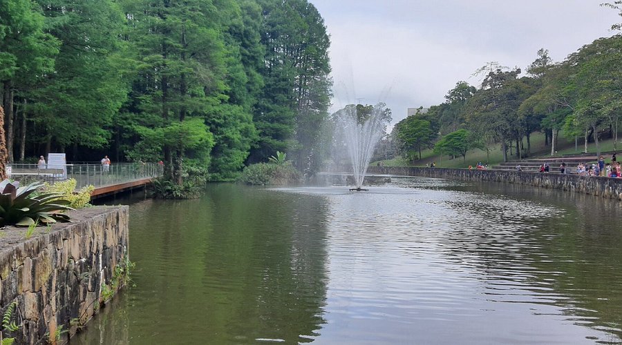 melhores atividades para fazer no sesc interlagos com crianças