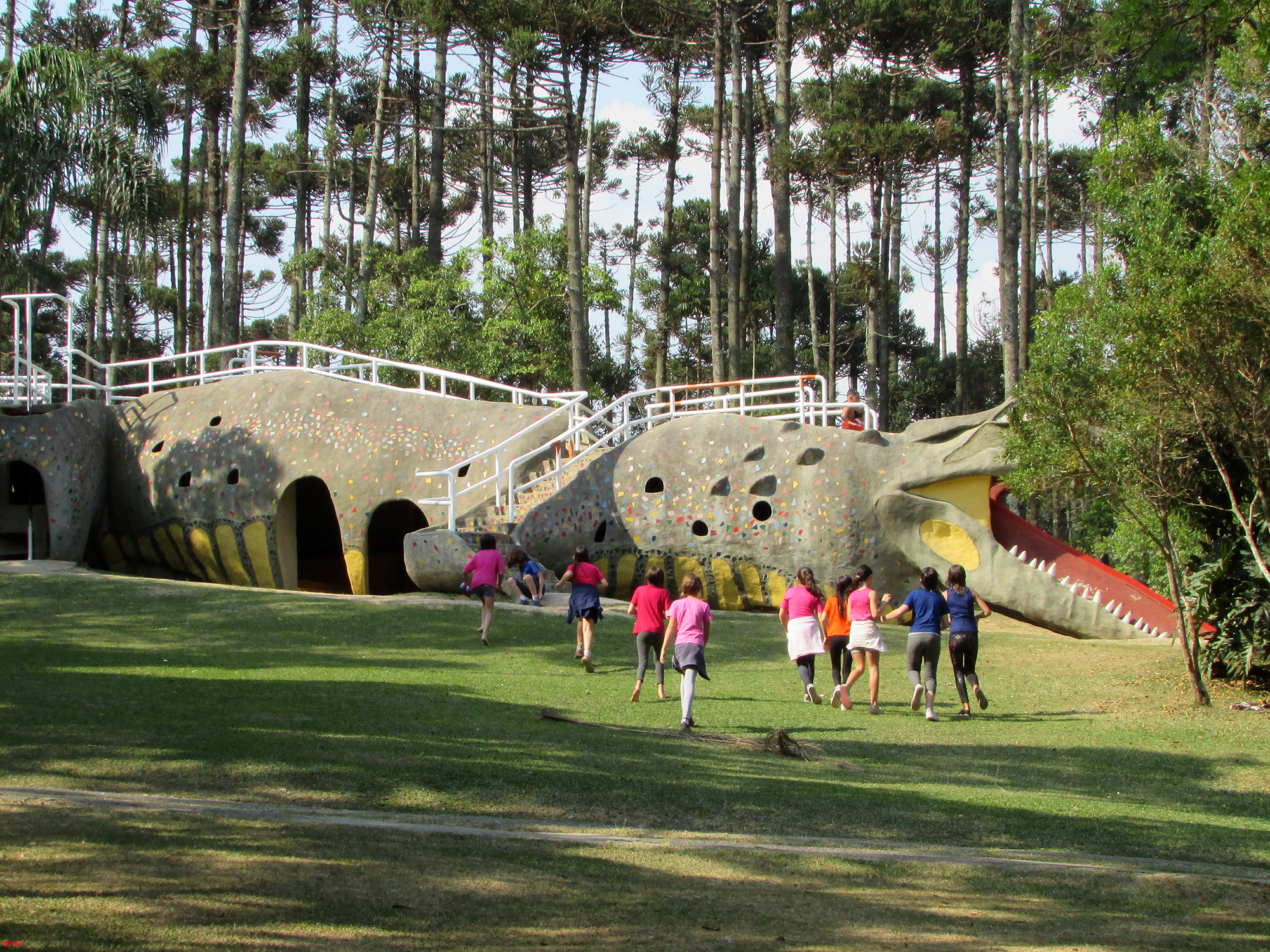 erros comuns ao visitar o sesc interlagos pela primeira vez