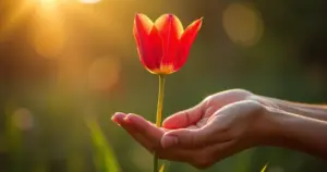 Significado da tulipa vermelha: a flor que diz 'eu te amo' sem palavras