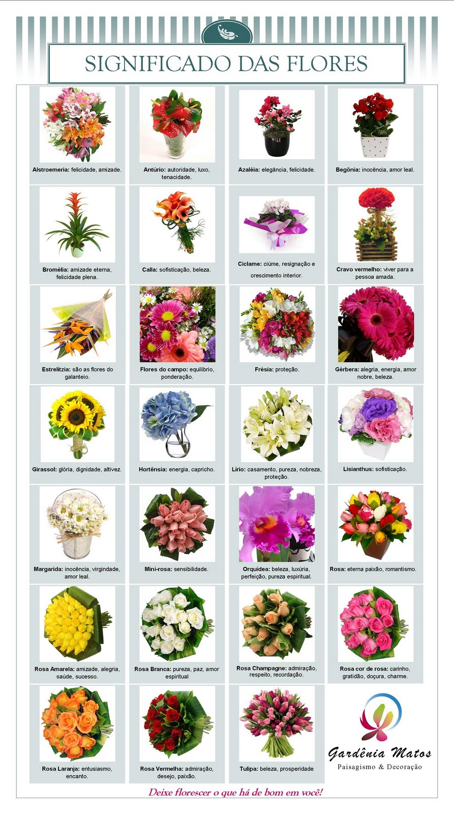 erros comuns ao escolher flores pelo significado