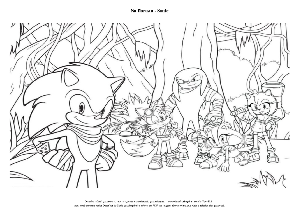 sonic para festa infantil pdf
