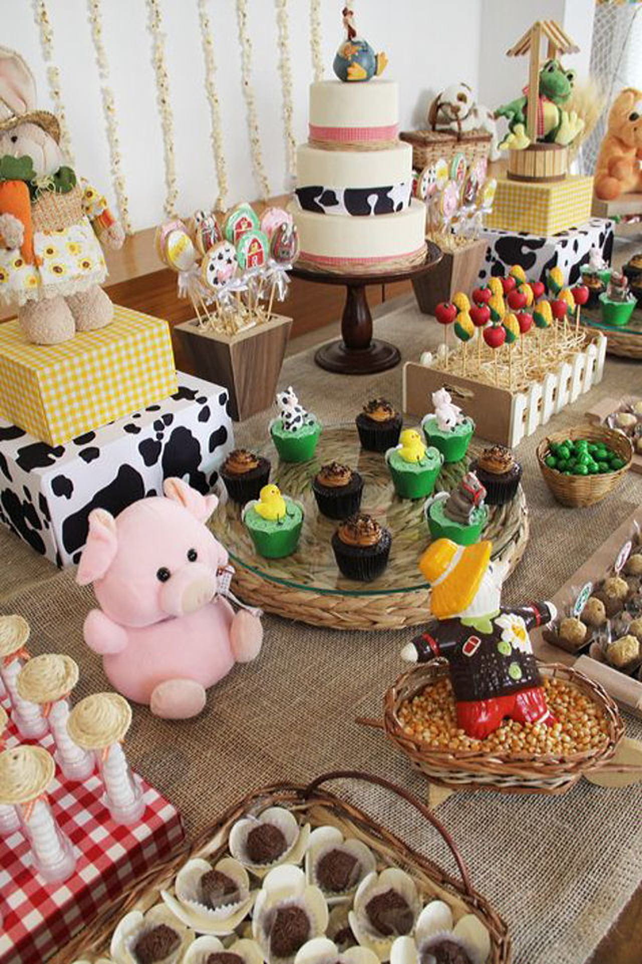 temas de aniversário de 1 ano para bebês gêmeos