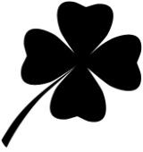 erros comuns ao cuidar de trevo de 4 folhas