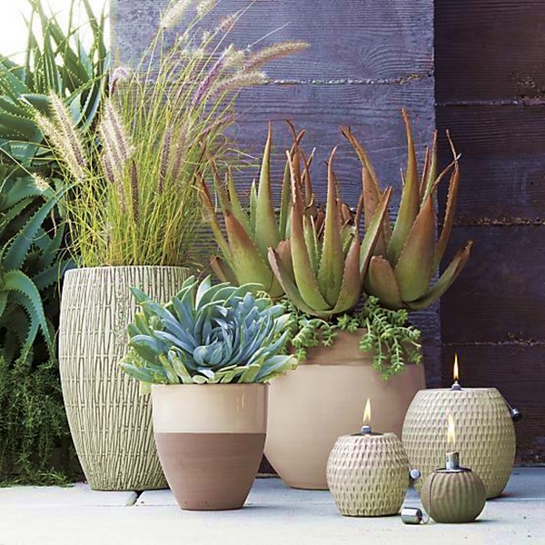 melhores vasos para cada tipo de planta