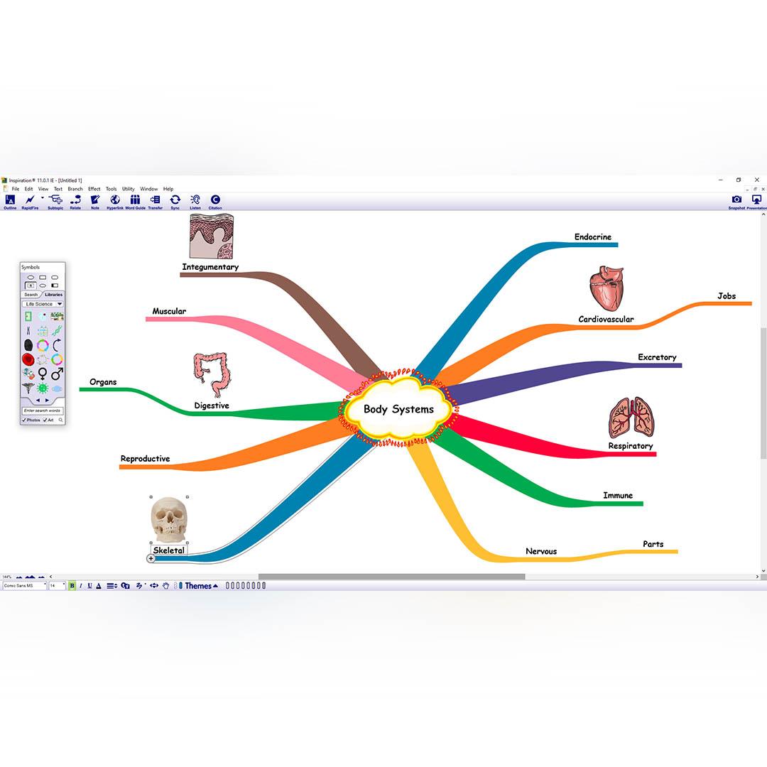 erros comuns ao buscar inspiração criativa