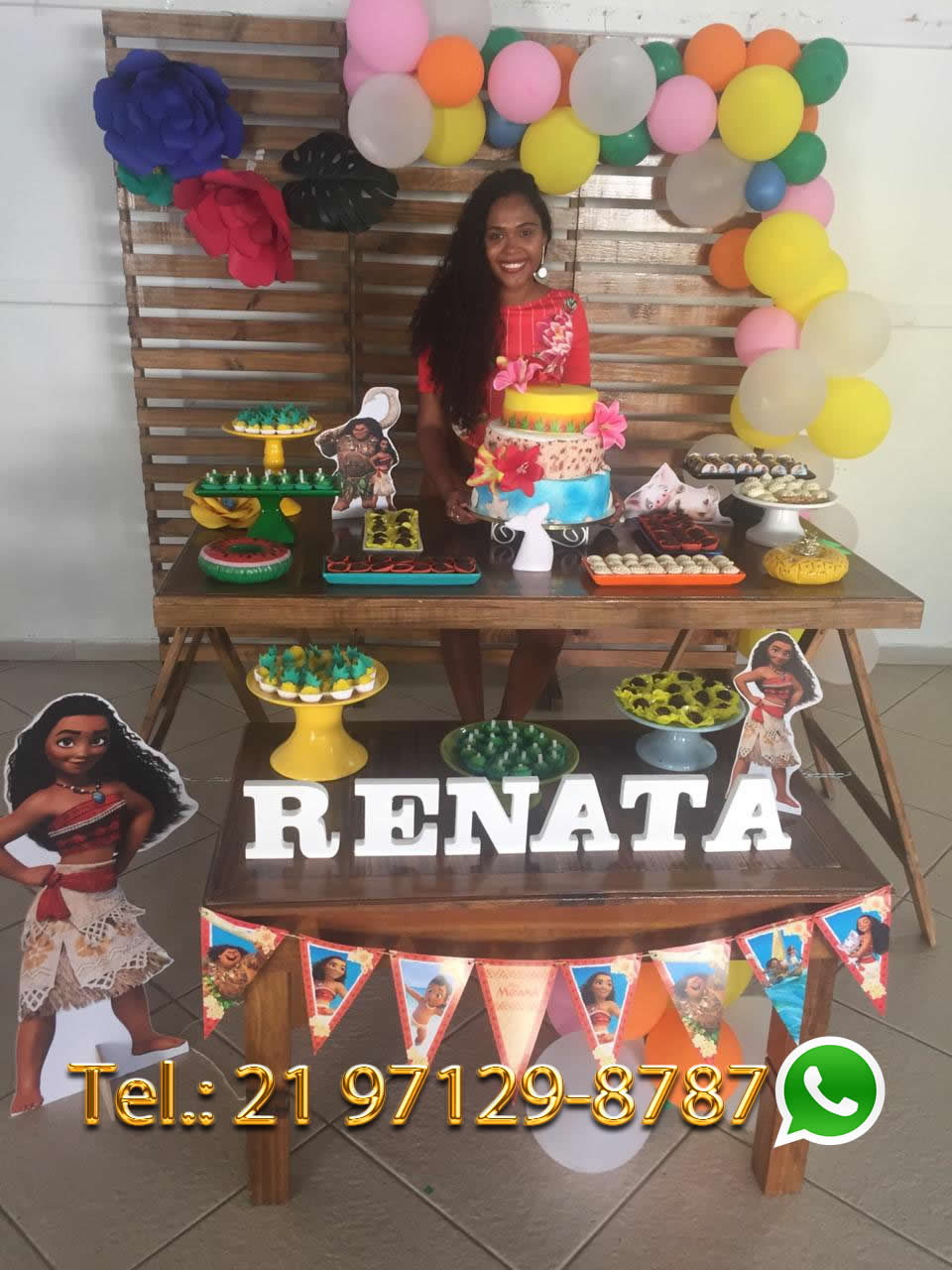personagens moana decoração (Maui, Hei Hei, Pua)