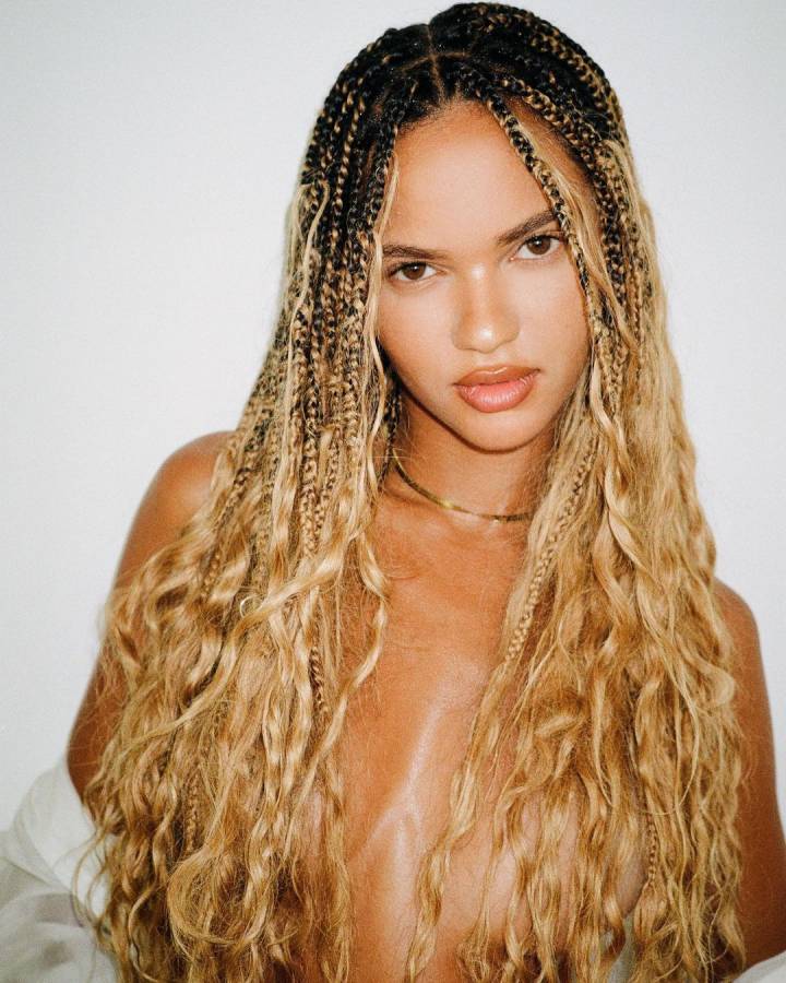 gypsy braids knotless