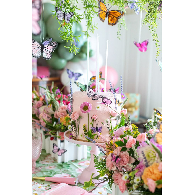 cores para festa jardim encantado borboletas