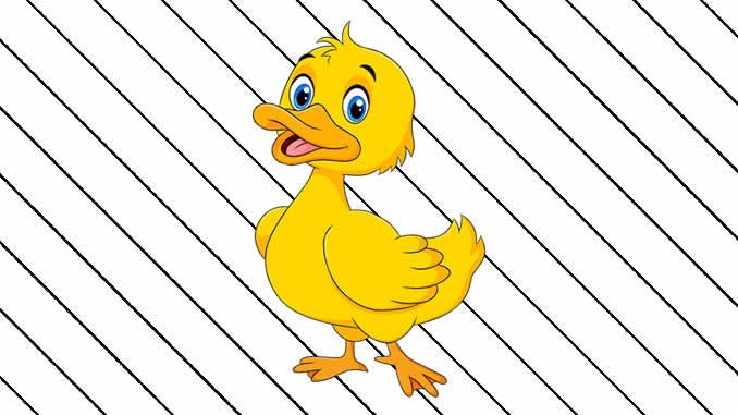 roupinhas para pato para imprimir