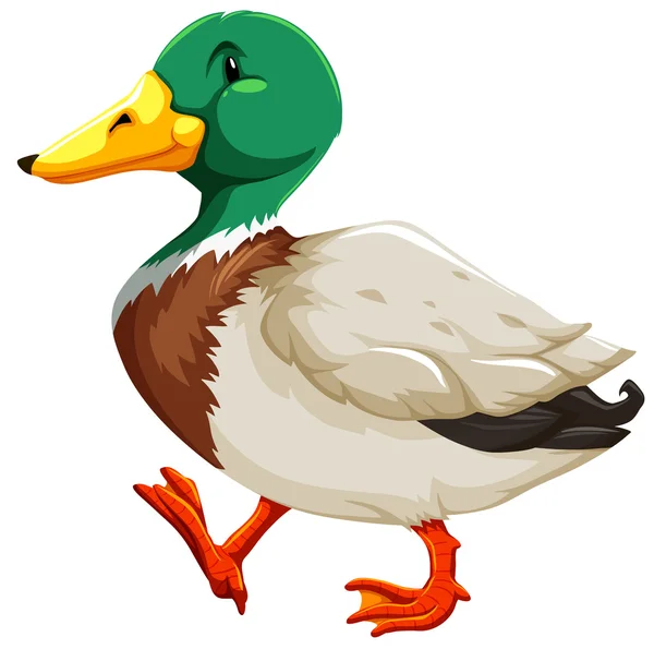 pato de desenho animado para imprimir