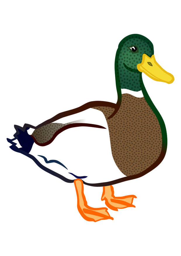pato de papelão para imprimir