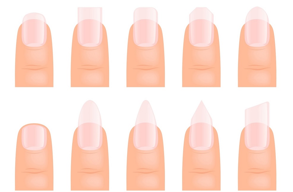unhas redondas