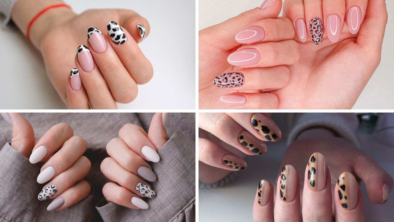 unhas redondas 2026