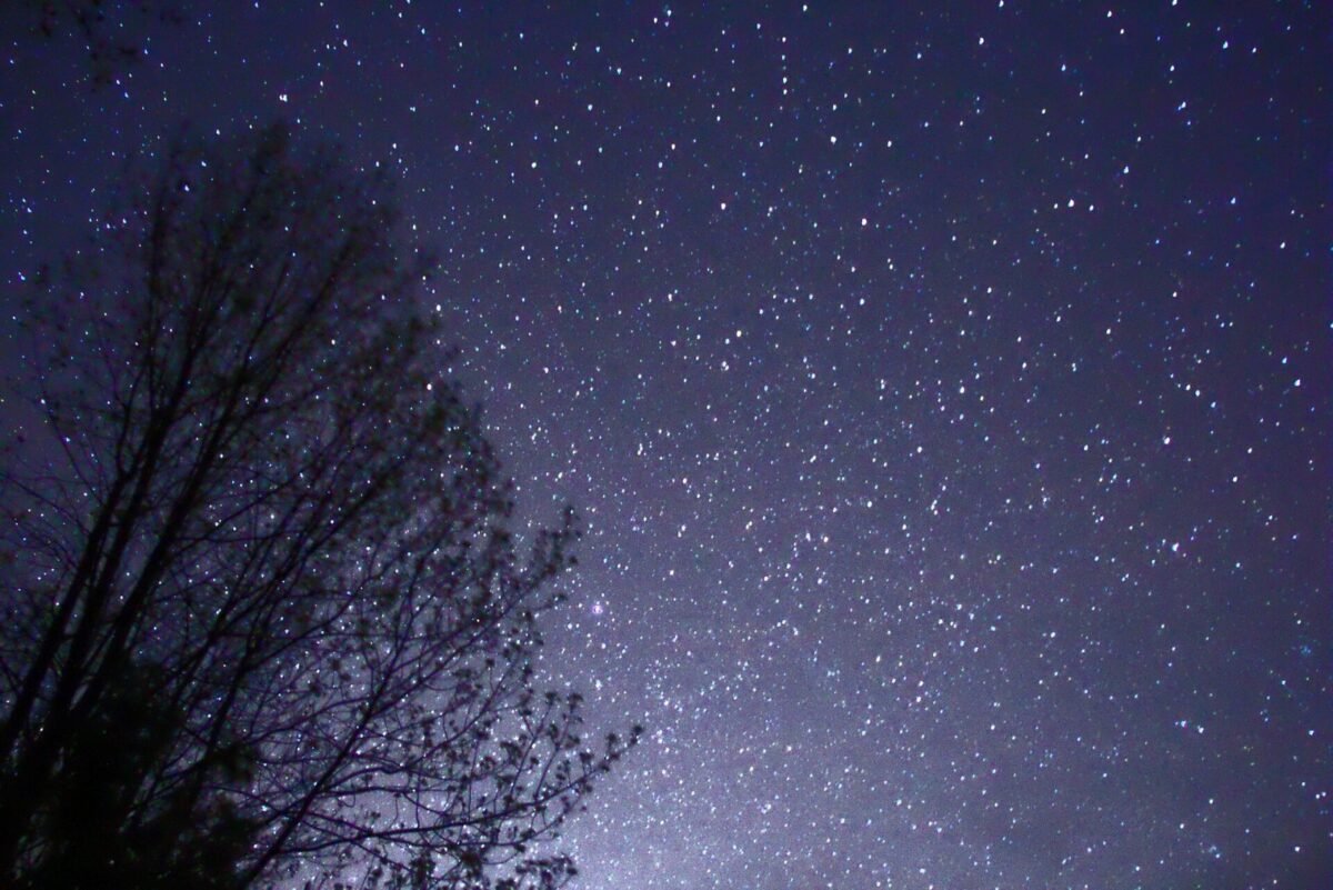 Porque as estrelas brilham: a verdade nuclear que muda como você vê o céu vibrant night sky with lots of stars, beside a tree's silhouette, Muskoka, Ontario, Canada