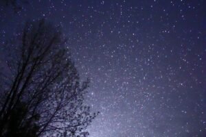 vibrant night sky with lots of stars, beside a tree's silhouette, Muskoka, Ontario, Canada