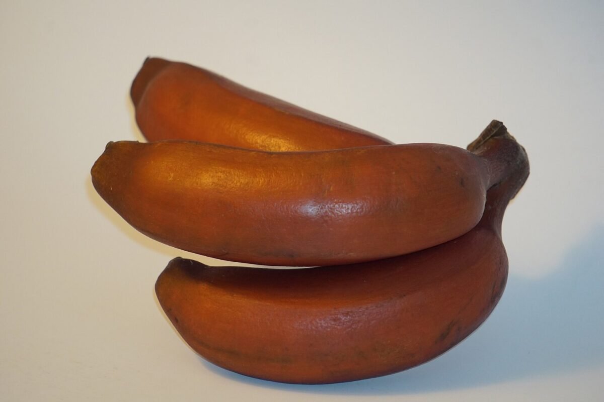 Porque a banana é curva: a engenharia natural que você nunca imaginou The still photograph titled "Radiant Red Bananas By Raju C Reddy" captures the striking allure of a bunch of vibrant red bananas in a captivating disp