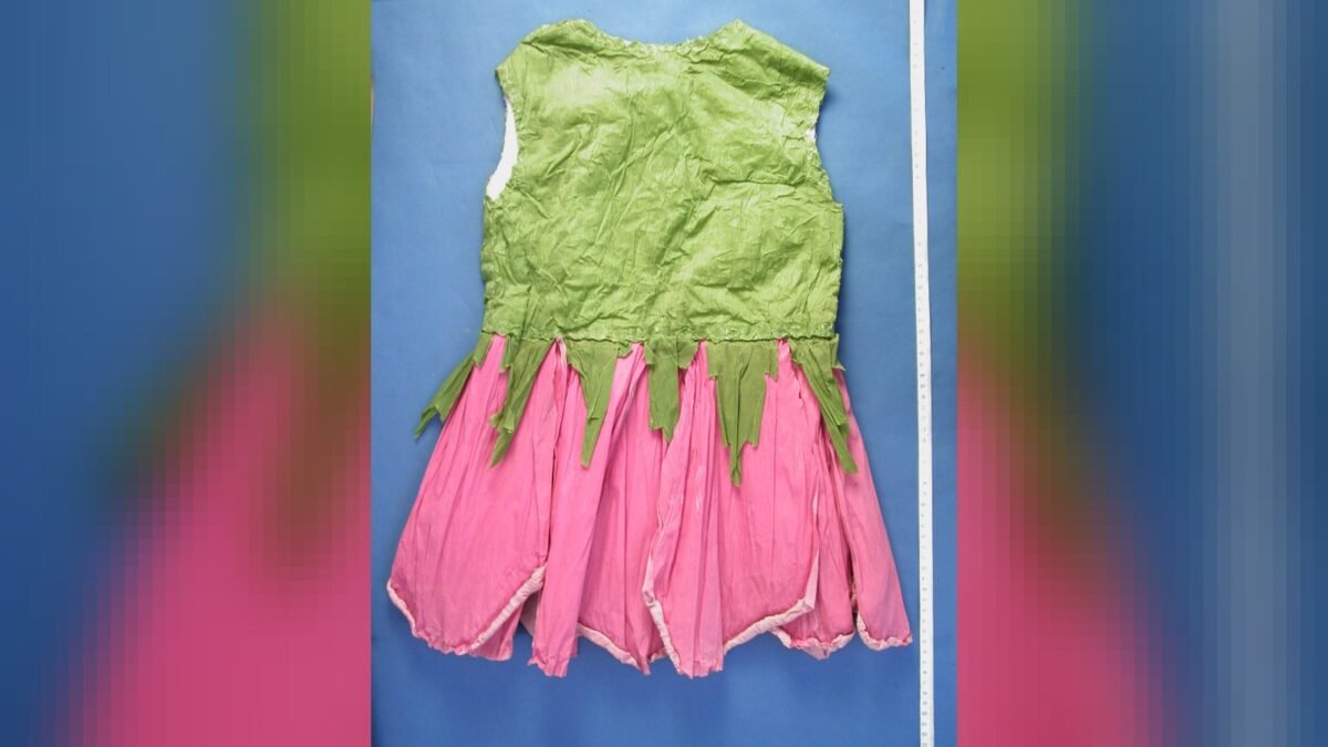 Childs crepe paper 'rosebud' fancy dress costume purchased by mail order from George Court and Sons, Karangahape Road, Auckland, circa 1928