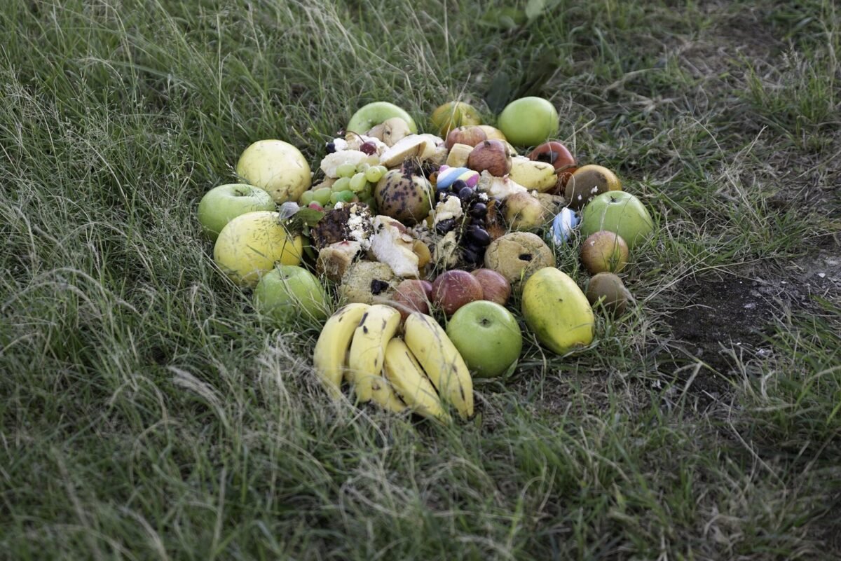 Arrangement of fruit, bread, sweets, and other food placed as a religious offering on grass in Ponta Negra, Maricá, Rio de Janeiro state, Brazil.