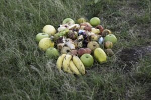 Arrangement of fruit, bread, sweets, and other food placed as a religious offering on grass in Ponta Negra, Maricá, Rio de Janeiro state, Brazil.