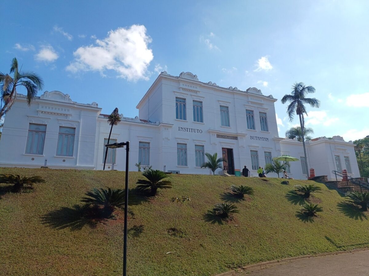 Instituto Butantan