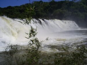 Rio Chapecó