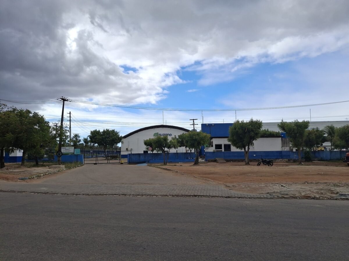 Suzano S.A.